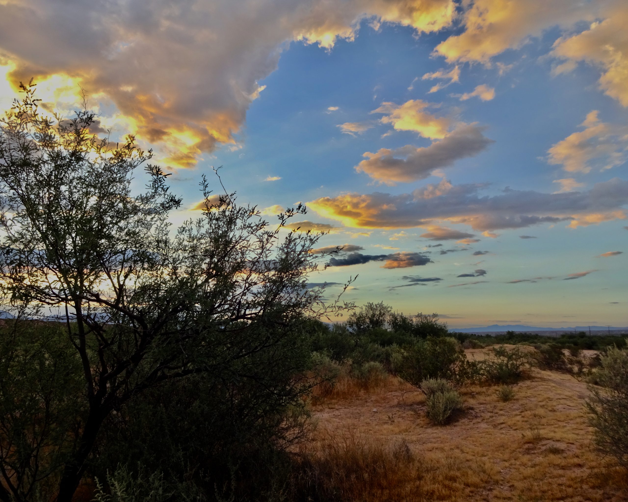 Arizona Sunset 17jul 4c